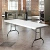 Lifetime 22980 96" X 30" White Granite Plastic Folding Table