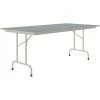 Correll 36" X 72" Gray Granite Thermal-Fused Laminate Top Folding Table With Gray Frame